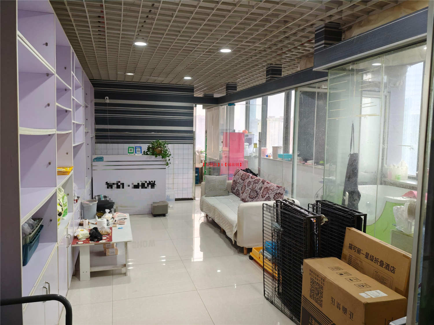 花果园国际商务5号楼，宠物店房东直租